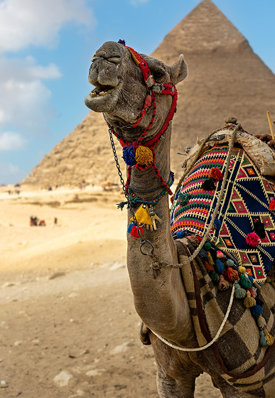 Egypt